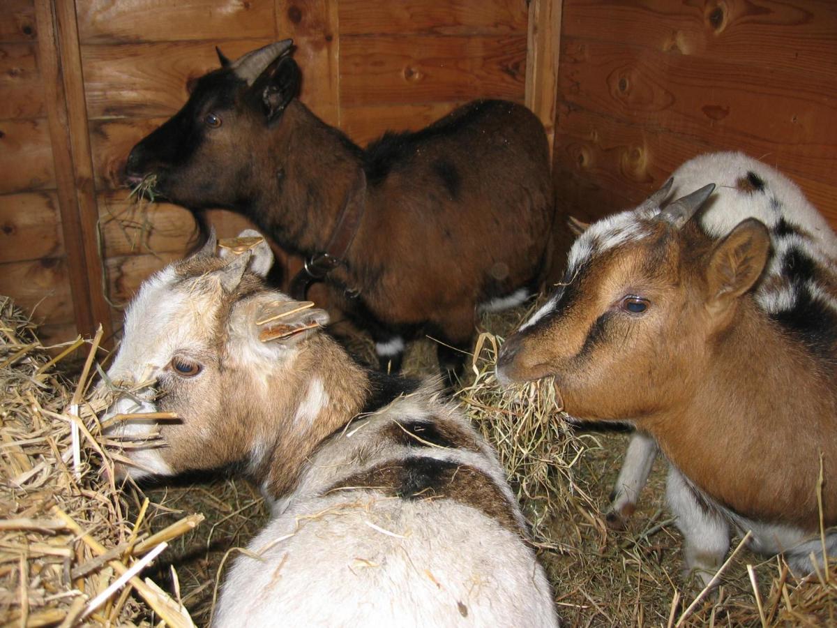 Comme à la Ferme Durbuy Exterior foto